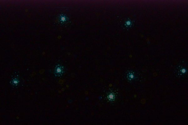 pph
